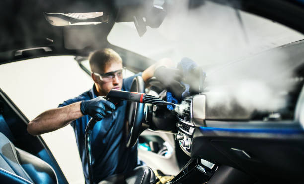 Best Air Duct Mold Removal  in Highland Park, MI