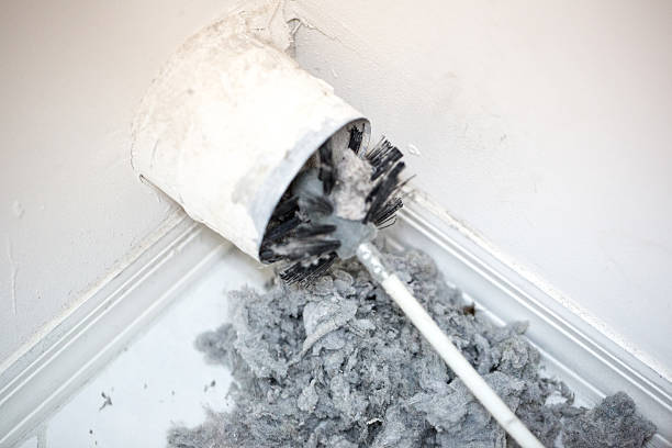 Best Professional Duct Cleaning Services  in Highland Park, MI